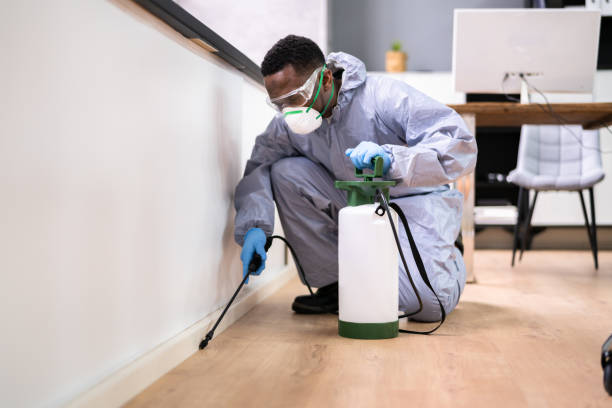 Best Fumigation Services  in Maan, ND